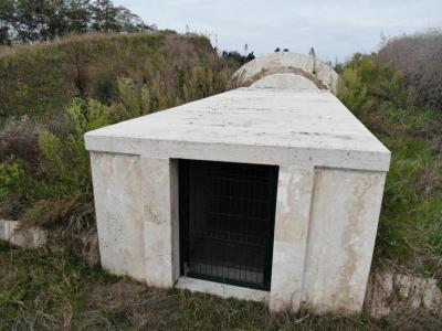 İkiztepe Höyüğü