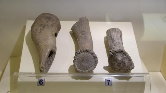 Bafra Arkeoloji Müzesi