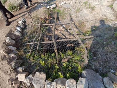 Kolay Turizm Merkezi, Asarkale, Kaya Mezarları ve Potern