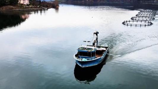 Altınkaya ve Derbent Baraj Gölleri