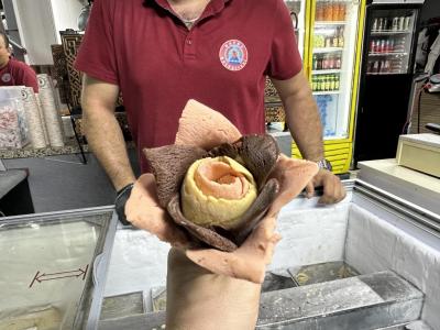 Bafra Bal Kaymağı Dondurması