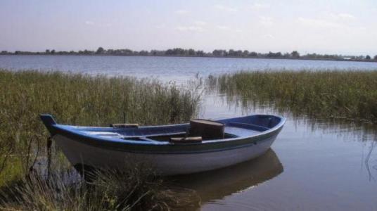 Kızılırmak Deltası Gölleri