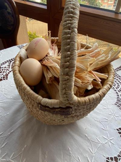 Sosyal Dönüşümden Sürdürülebilir Geleceğe: Zembilin Ekonomiye ve 
Kültüre Katkısı